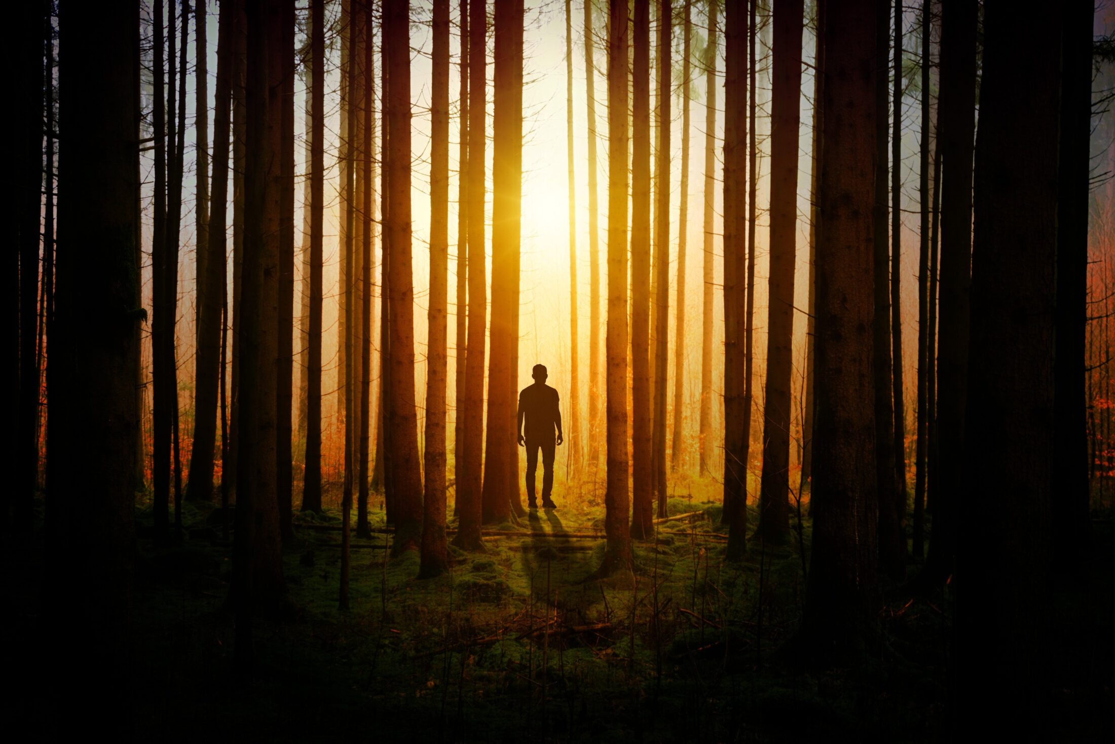 From the sound of the woods to the purity of water: the essence of Opera